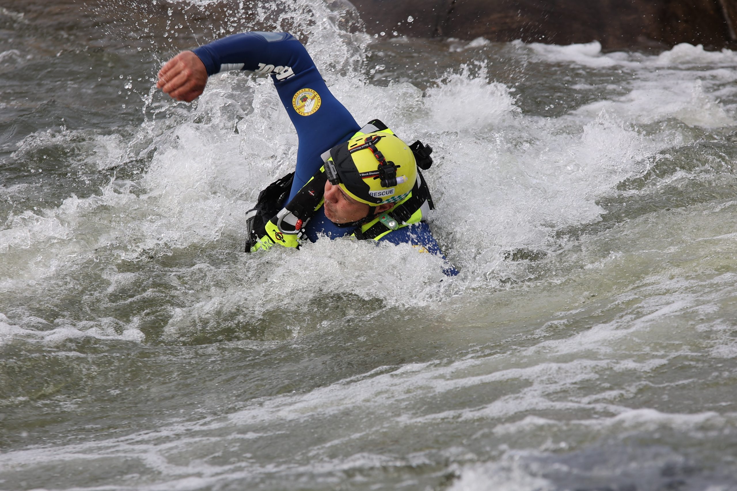 ARRO | ABRC00140 scaled